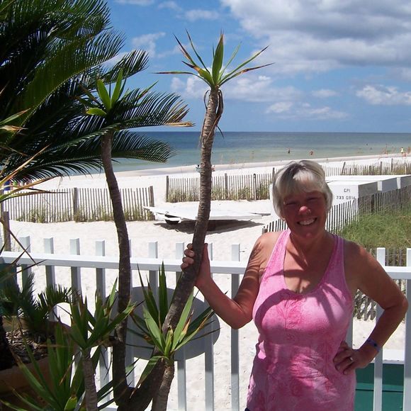 Meet your Posher, Cindy - Picture 1 of 1